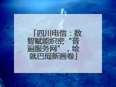 四川电信：数智赋能织密“普遍服务网”，绘就巴蜀新画卷